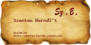 Szentes Bernát névjegykártya