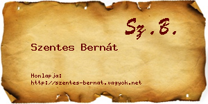 Szentes Bernát névjegykártya